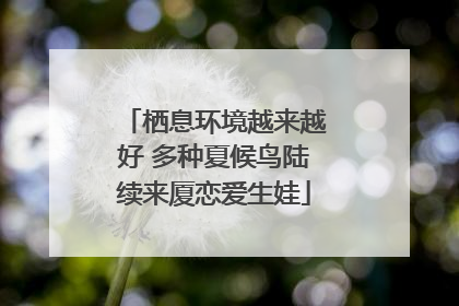栖息环境越来越好 多种夏候鸟陆续来厦恋爱生娃