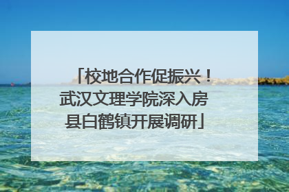 校地合作促振兴！武汉文理学院深入房县白鹤镇开展调研