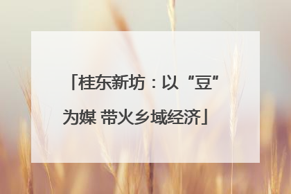桂东新坊：以“豆”为媒 带火乡域经济