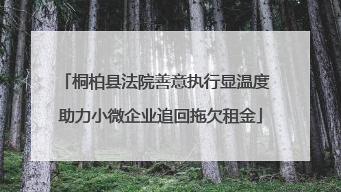桐柏县法院善意执行显温度 助力小微企业追回拖欠租金