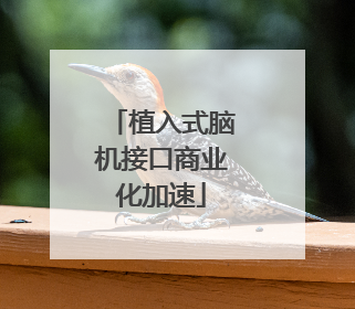 植入式脑机接口商业化加速