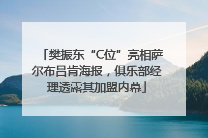 樊振东“C位”亮相萨尔布吕肯海报，俱乐部经理透露其加盟内幕