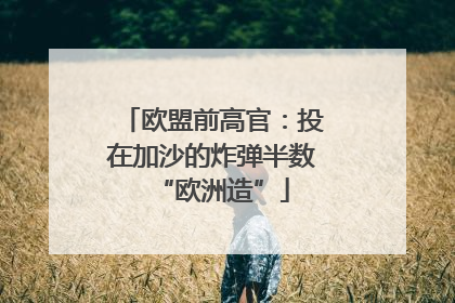 欧盟前高官：投在加沙的炸弹半数“欧洲造”