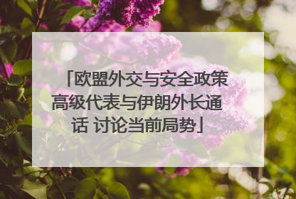 欧盟外交与安全政策高级代表与伊朗外长通话 讨论当前局势