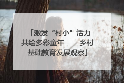 激发“村小”活力 共绘多彩童年——乡村基础教育发展观察