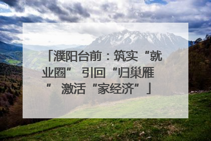 濮阳台前：筑实“就业圈” 引回“归巢雁” 激活“家经济”