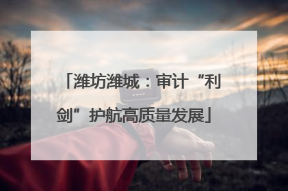 潍坊潍城：审计“利剑”护航高质量发展