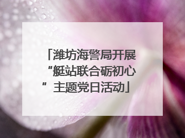 潍坊海警局开展“艇站联合砺初心”主题党日活动