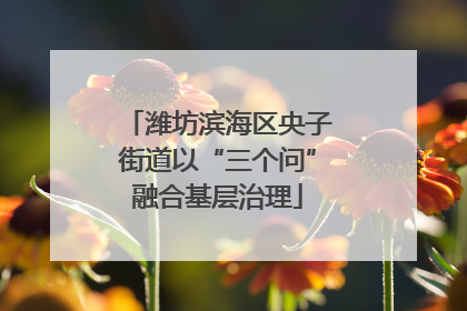 潍坊滨海区央子街道以“三个问”融合基层治理