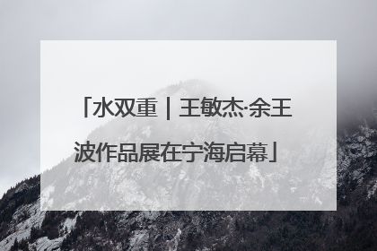 水双重｜王敏杰·余王波作品展在宁海启幕