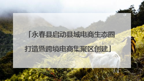 永春县启动县域电商生态圈打造暨跨境电商集聚区创建