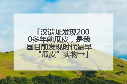 汉遗址发现2000多年前瓜皮，是我国目前发现时代最早“瓜皮”实物→