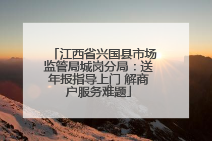 江西省兴国县市场监管局城岗分局：送年报指导上门 解商户服务难题