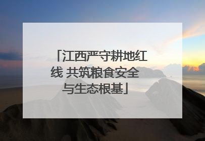 江西严守耕地红线 共筑粮食安全与生态根基