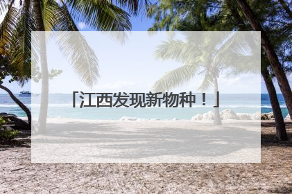 江西发现新物种！