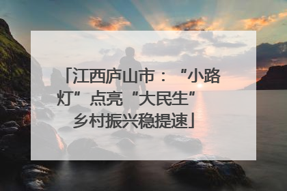 江西庐山市：“小路灯”点亮“大民生” 乡村振兴稳提速