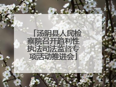 汤阴县人民检察院召开趋利性执法司法监督专项活动推进会