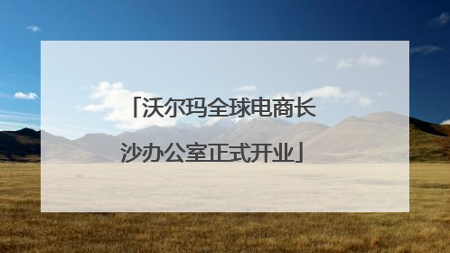 沃尔玛全球电商长沙办公室正式开业