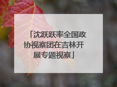 沈跃跃率全国政协视察团在吉林开展专题视察