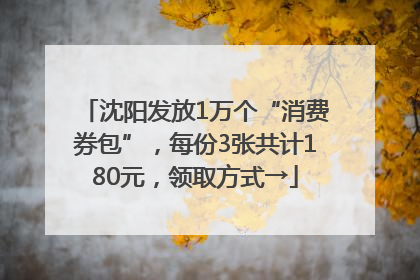 沈阳发放1万个“消费券包”，每份3张共计180元，领取方式→