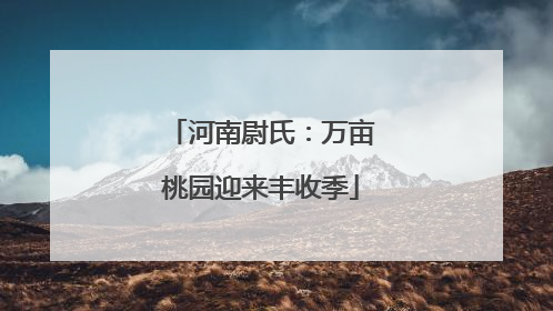 河南尉氏：万亩桃园迎来丰收季