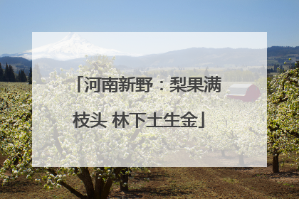 河南新野：梨果满枝头 林下土生金