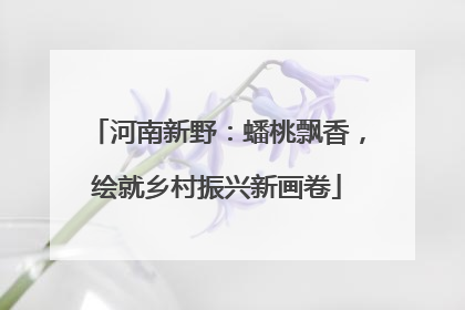 河南新野：蟠桃飘香，绘就乡村振兴新画卷