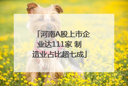 河南A股上市企业达111家 制造业占比超七成