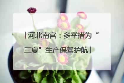 河北南宫：多举措为“三夏”生产保驾护航