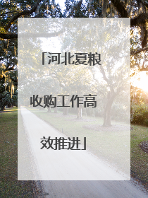 河北夏粮收购工作高效推进