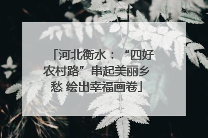 河北衡水：“四好农村路”串起美丽乡愁 绘出幸福画卷
