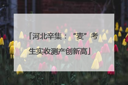 河北辛集：“麦”考生实收测产创新高