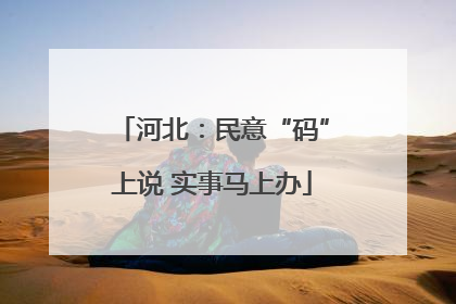 河北：民意“码”上说 实事马上办