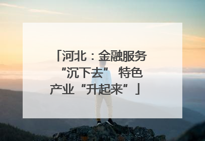 河北：金融服务“沉下去” 特色产业“升起来”