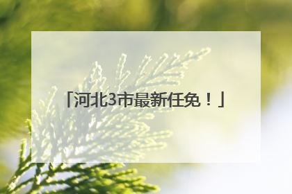 河北3市最新任免！
