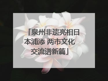 泉州非遗亮相日本浦添 两市文化交流谱新篇