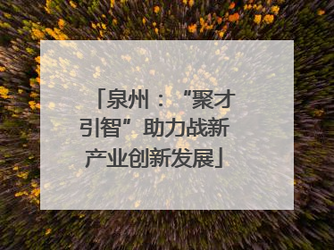 泉州：“聚才引智”助力战新产业创新发展