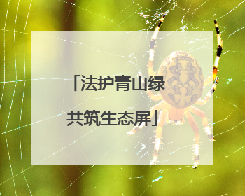 法护青山绿 共筑生态屏