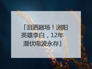 泪洒剧场！浏阳英雄李白，12年潜伏电波永存