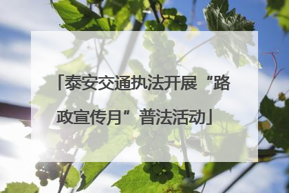 泰安交通执法开展“路政宣传月”普法活动