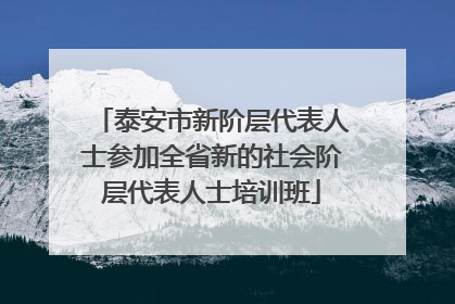 泰安市新阶层代表人士参加全省新的社会阶层代表人士培训班