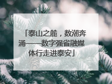泰山之麓，数潮奔涌——数字强省融媒体行走进泰安