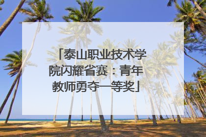 泰山职业技术学院闪耀省赛：青年教师勇夺一等奖