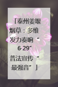 泰州姜堰烟草：多维发力奏响“6·29”普法宣传“最强音”