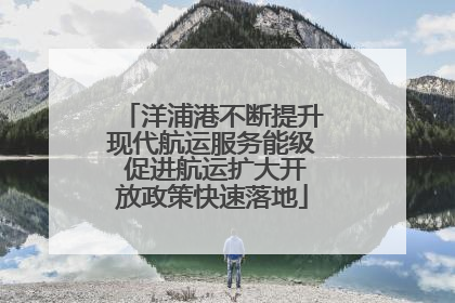 洋浦港不断提升现代航运服务能级 促进航运扩大开放政策快速落地