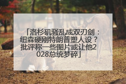 洛杉矶骚乱成双刃剑：纽森硬刚特朗普塑人设？批评称一些图片或让他2028总统梦碎