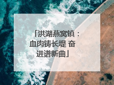 洪湖燕窝镇：血肉铸长堤 奋进谱新曲