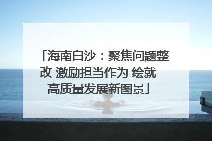 海南白沙：聚焦问题整改 激励担当作为 绘就高质量发展新图景