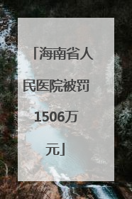 海南省人民医院被罚1506万元