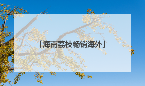 海南荔枝畅销海外